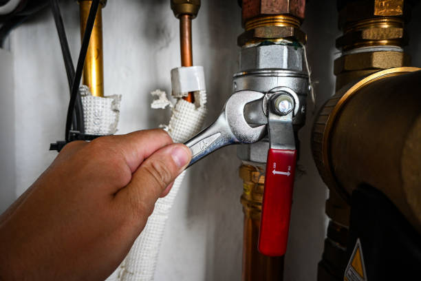 Best Affordable Plumber Near Me  in Blackville, SC